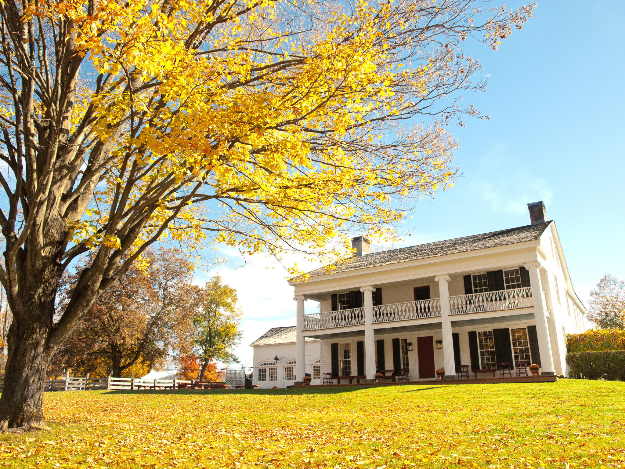 A home with a large porch and yard.  A tree with changing leaves sits in the front.